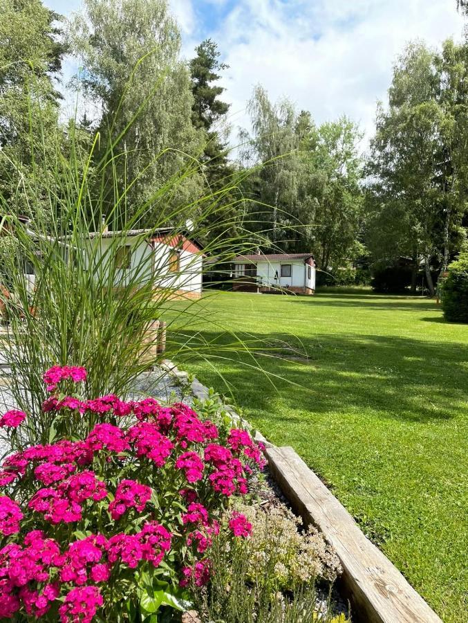Retro Chatky Hurka Lipno Horní Planá 外观 照片